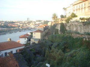 Porto by the Ponte