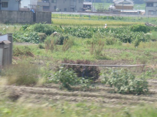 Shinkansen to Nara