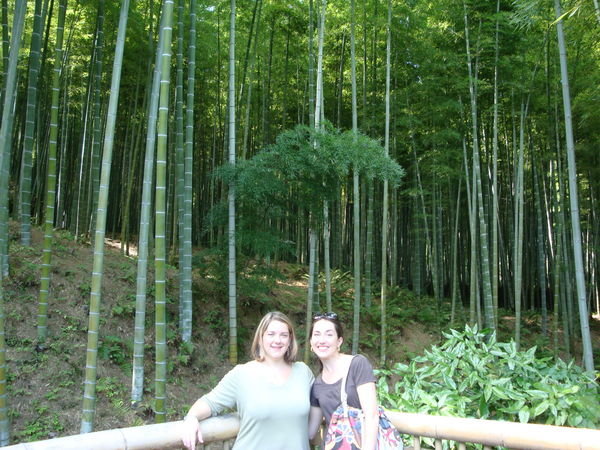 Kyoto, Bamboo Grove