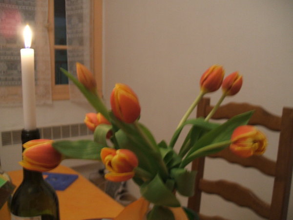Franzi's birthday tulips