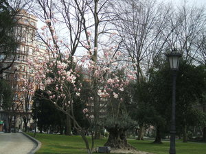 The park in Oviedo