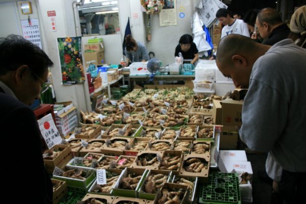 40 Japanese Mushrooms...pricey fungi!