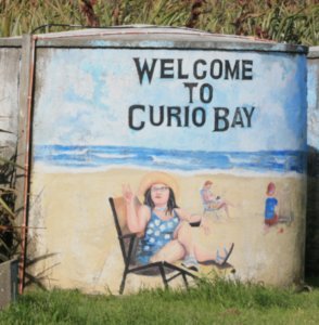 62 Curio Bay campsite
