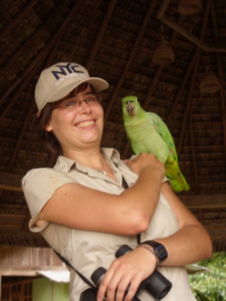 68 Connie meets a Mealy Amazon Parrot