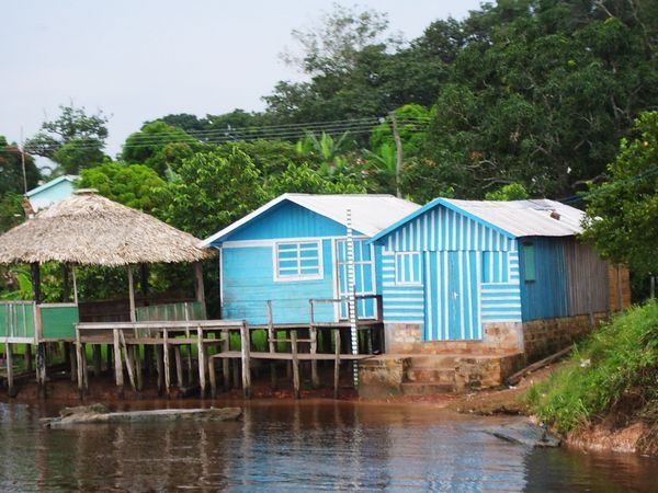 zwischen Belem und Manaus - einige koennen sich Farbe leisten