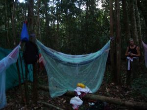 unsere Schlafstelle mitten im Dschungel