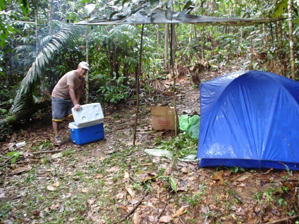 auf der Dschungeltour - unser Nachtlager wird aufgebaut