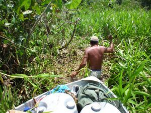 auf der Dschungeltour - Joaquin und Luis kaempfen sich durch die Suempfe