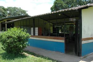 auf der Dschungeltour - ein Schulhaus