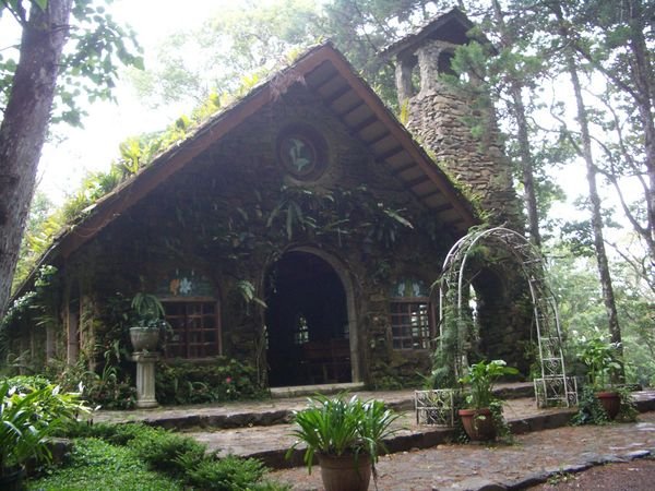 Selva Negra - eine Kirche umrahmt von Pflanzen