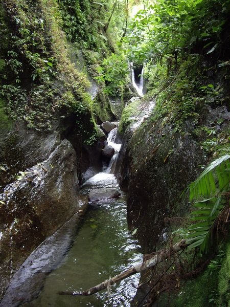 Tacuba - Nationalpark El Impossible - kleine Baeche zum baden