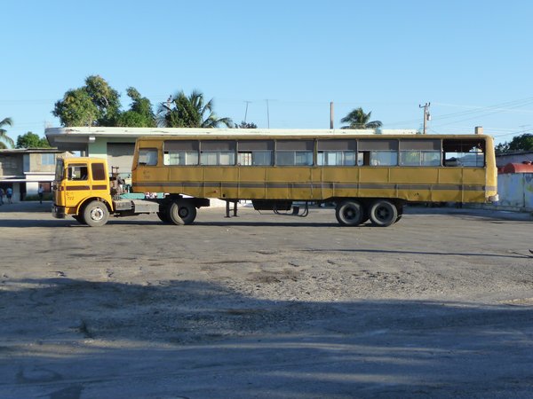 Guaimaro - Reisebus