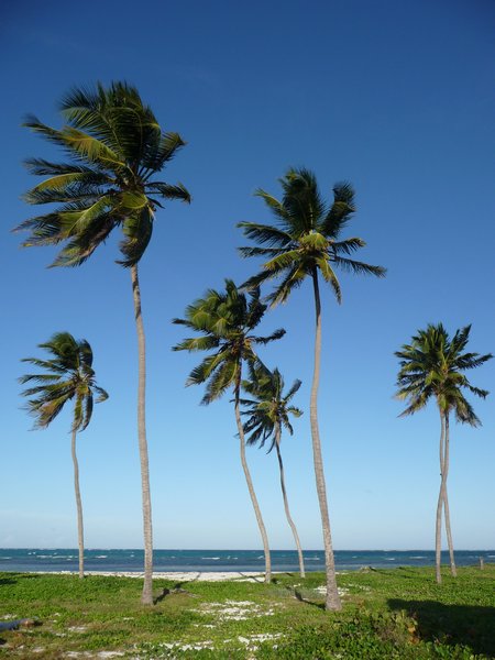 Playa Santa Lucia