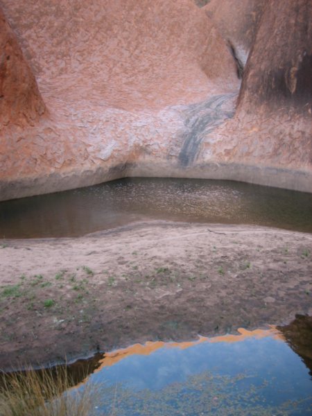 Uluru Water Hole