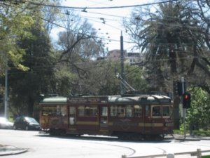 Free City Tram
