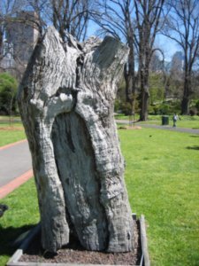 Scarred Tree 2