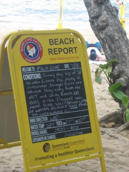 Beach Report