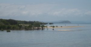 Palm Cove View