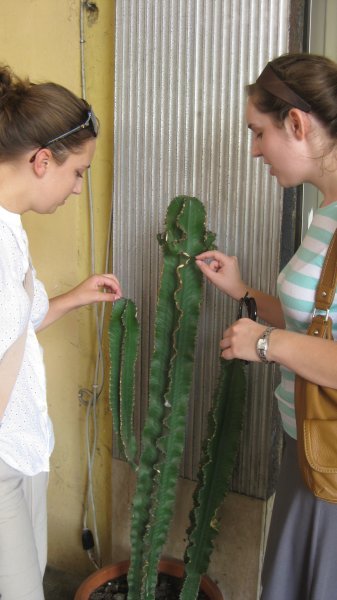 Maxann and Amy playing with the cactus