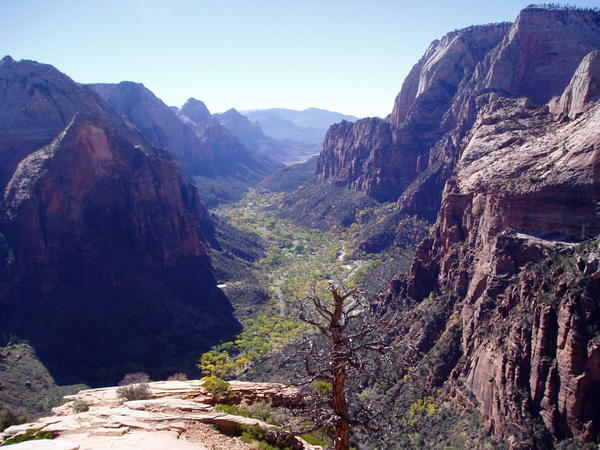 The view from Angel's Landing in Zion