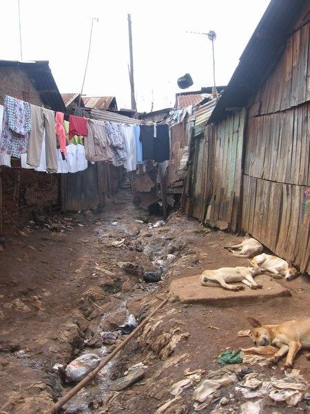 The slums of Kibera