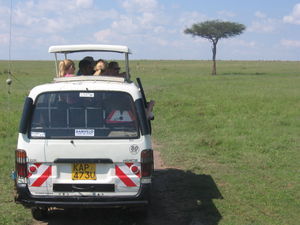 The Game Drive