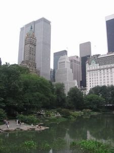 A view  from Central Park