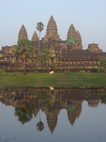 Reflections of Angkor Wat