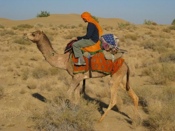 A Born Camel Jockey