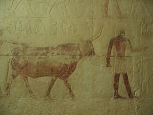 Hieroglyphs still hold their color after thousands of years