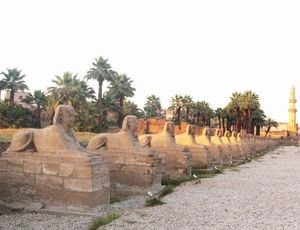 Sphinx alley outside of Luxor palace