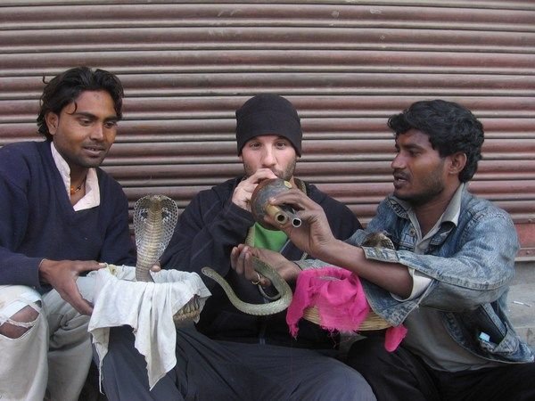 Charming Cobras in Kathmandu
