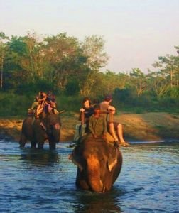 An Elephant safari through the Nepalese Jungle
