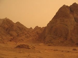 The Sinai Desert