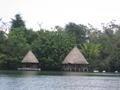 Thatched Roof Huts Along the River