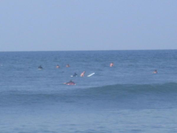 The Waters Were Teaming with Surfers