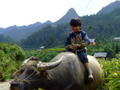 Ha Giang province