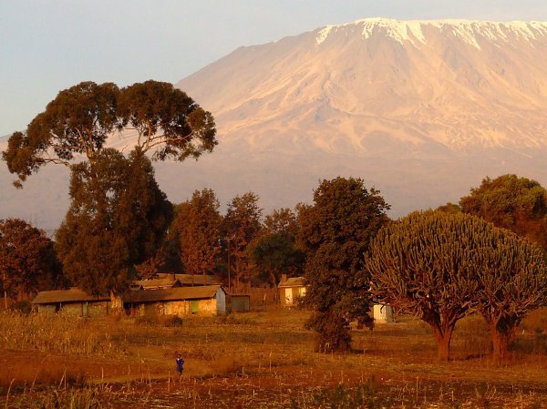 Mt. kilimanjaro