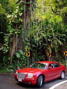 before our giant red rental reached the lush foliage and one-lane bridges the drive is famed for
