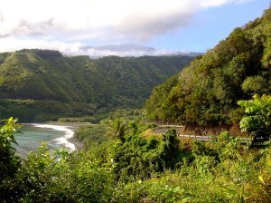 Looking back on some of the twists and turns on The Hana Highway