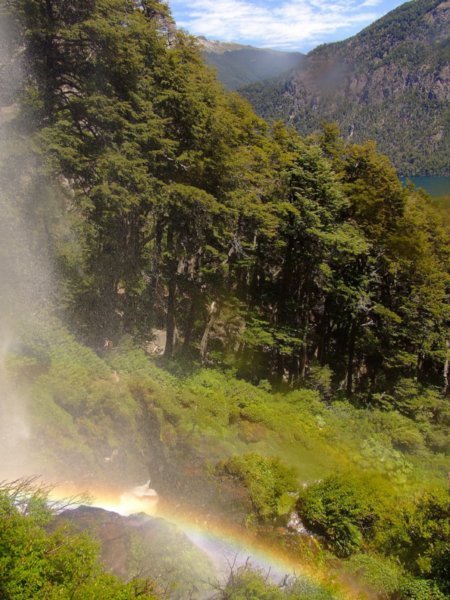 Waterfall in Parque Nacional Lanin