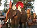 Elephant March, Kerala