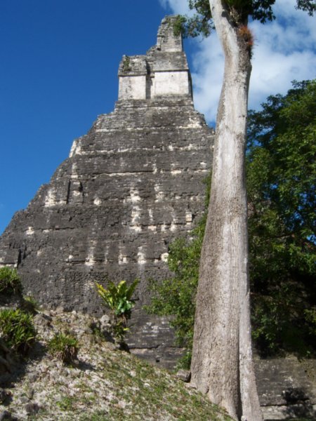 Tikal 084