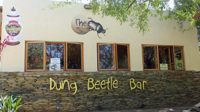 Dung Beetle Cafe