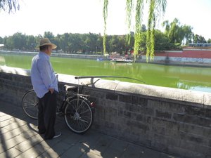 Fishing in Forbidden Palace moat