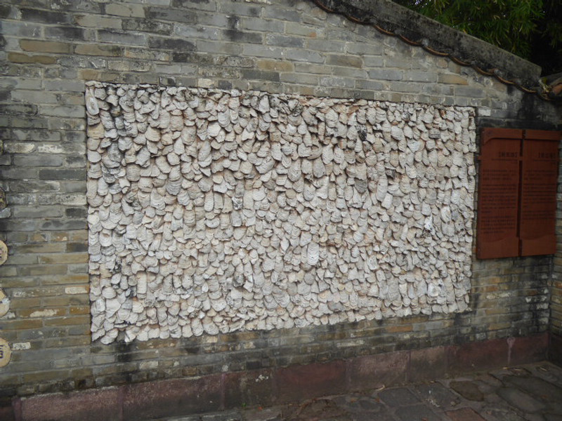 Wall of oyster shells 