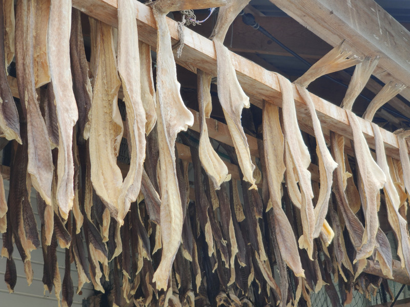 Stock fish - dried cod