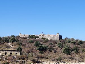 Pasha Fortress