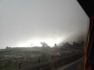 The fog 