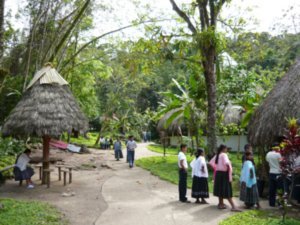 Die Schule im Dschungel